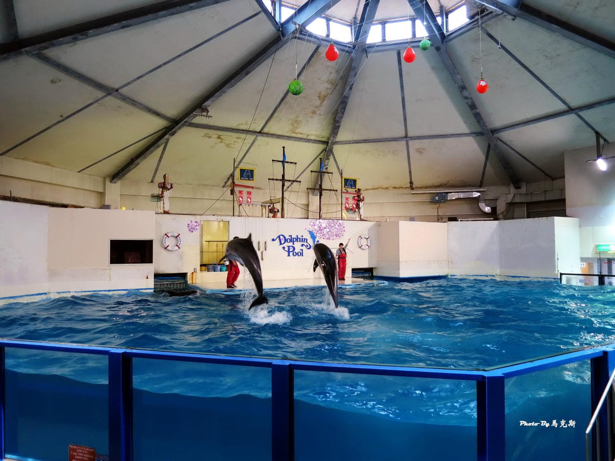 IMG_1075_調整大小 IMG_1075_調整大小