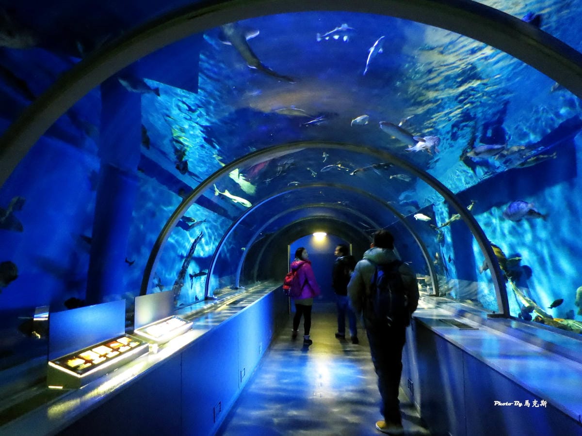 IMG_1027_調整大小 IMG_1027_調整大小