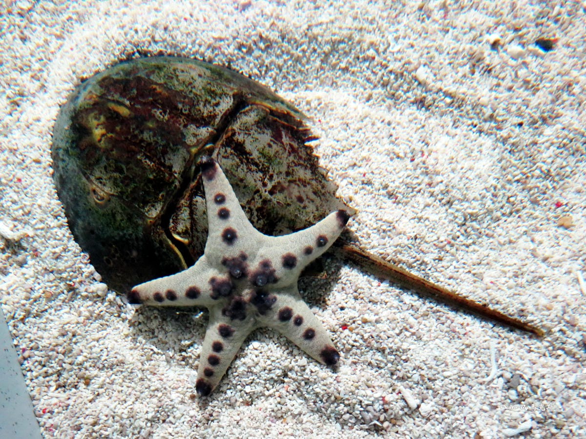 IMG_1020_調整大小 (3) IMG_1020_調整大小 (3)