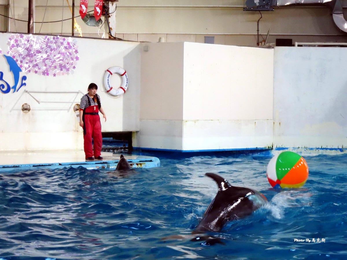 IMG_1070_調整大小 (2) IMG_1070_調整大小 (2)