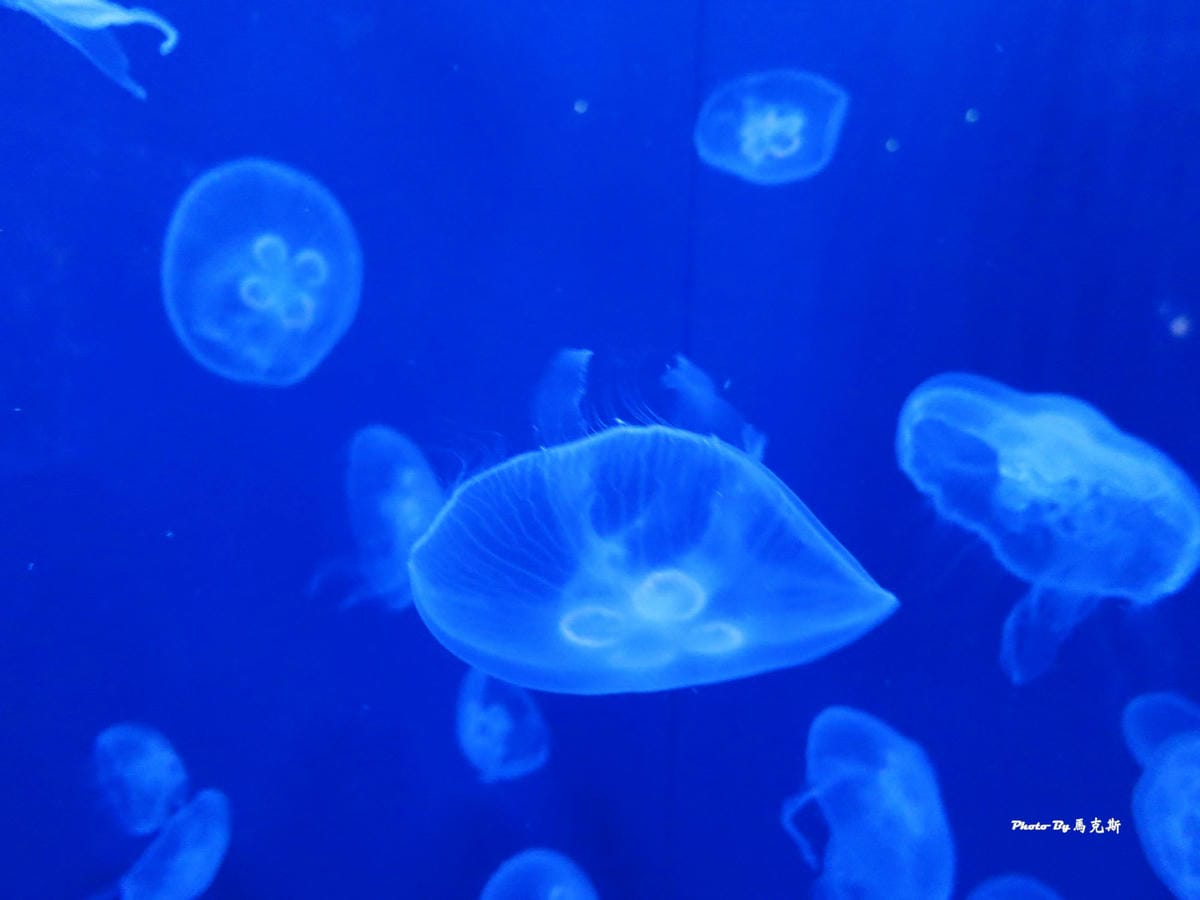 IMG_1030_調整大小 IMG_1030_調整大小