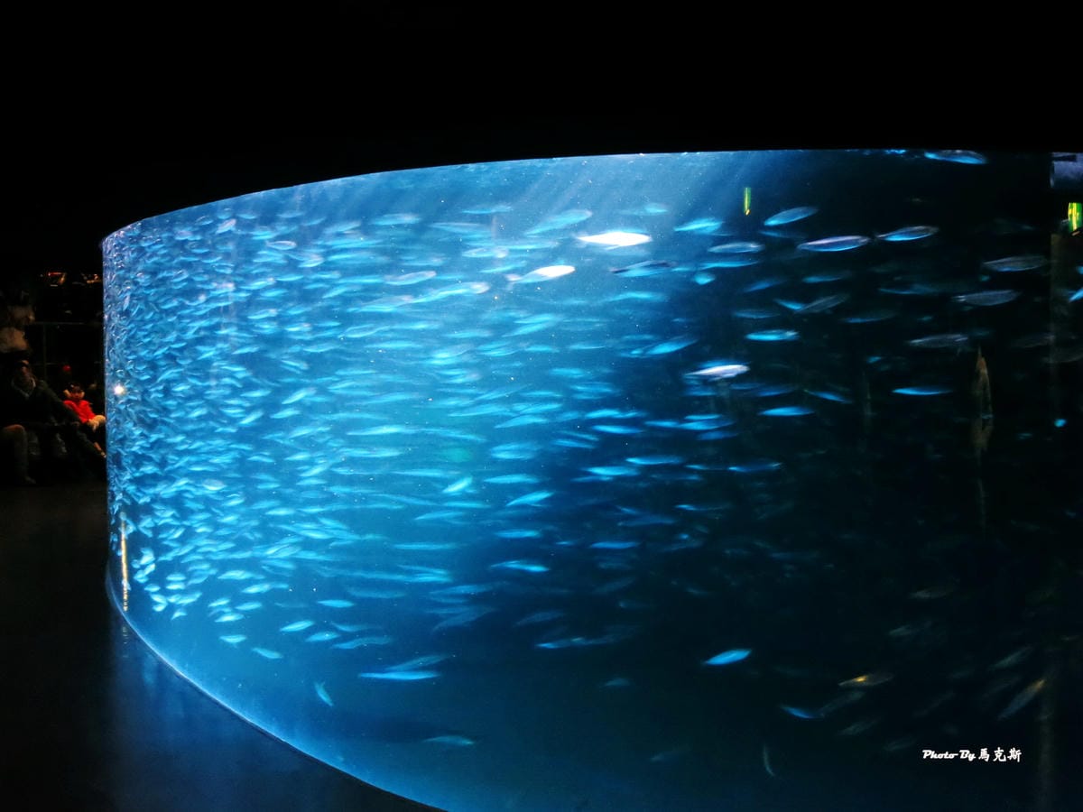 IMG_1087_調整大小 IMG_1087_調整大小