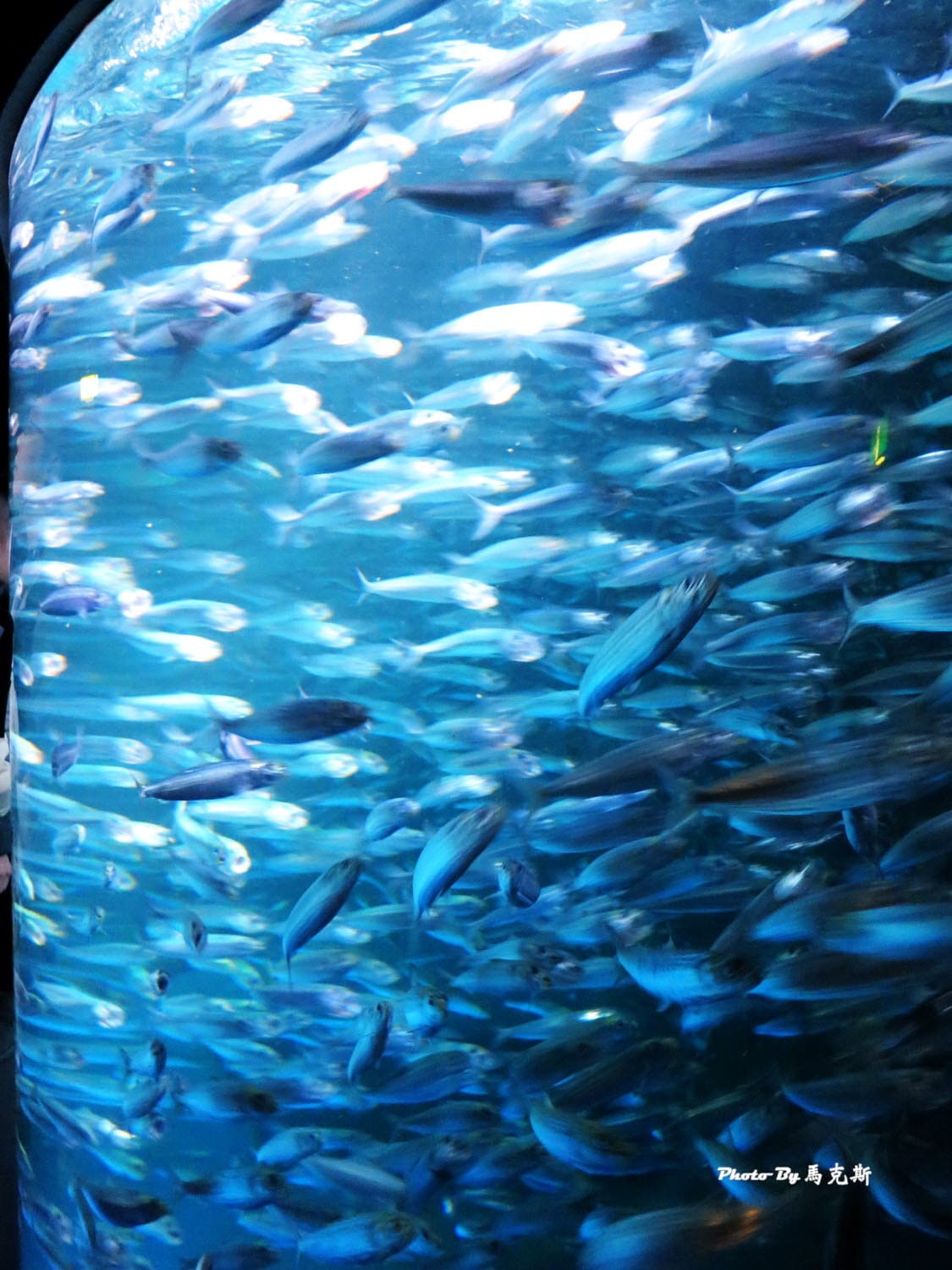 IMG_1090_調整大小 (2) IMG_1090_調整大小 (2)