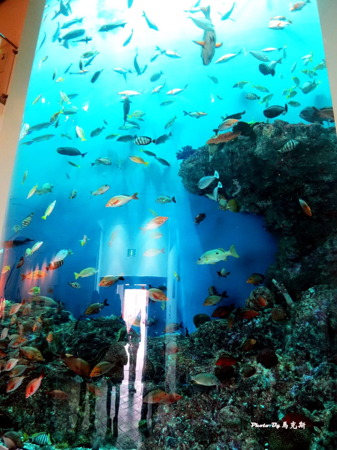 IMG_1015_調整大小 IMG_1015_調整大小