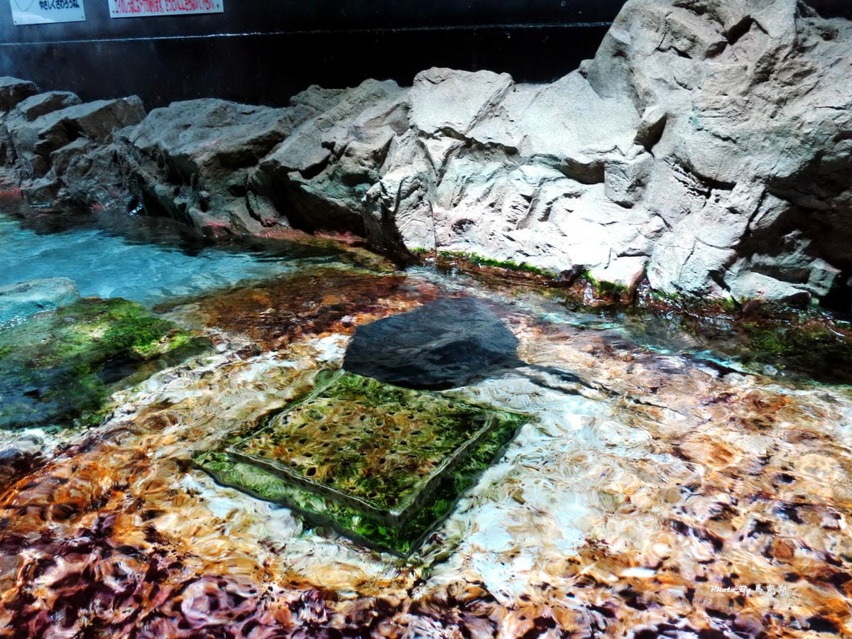 IMG_1023_調整大小 IMG_1023_調整大小