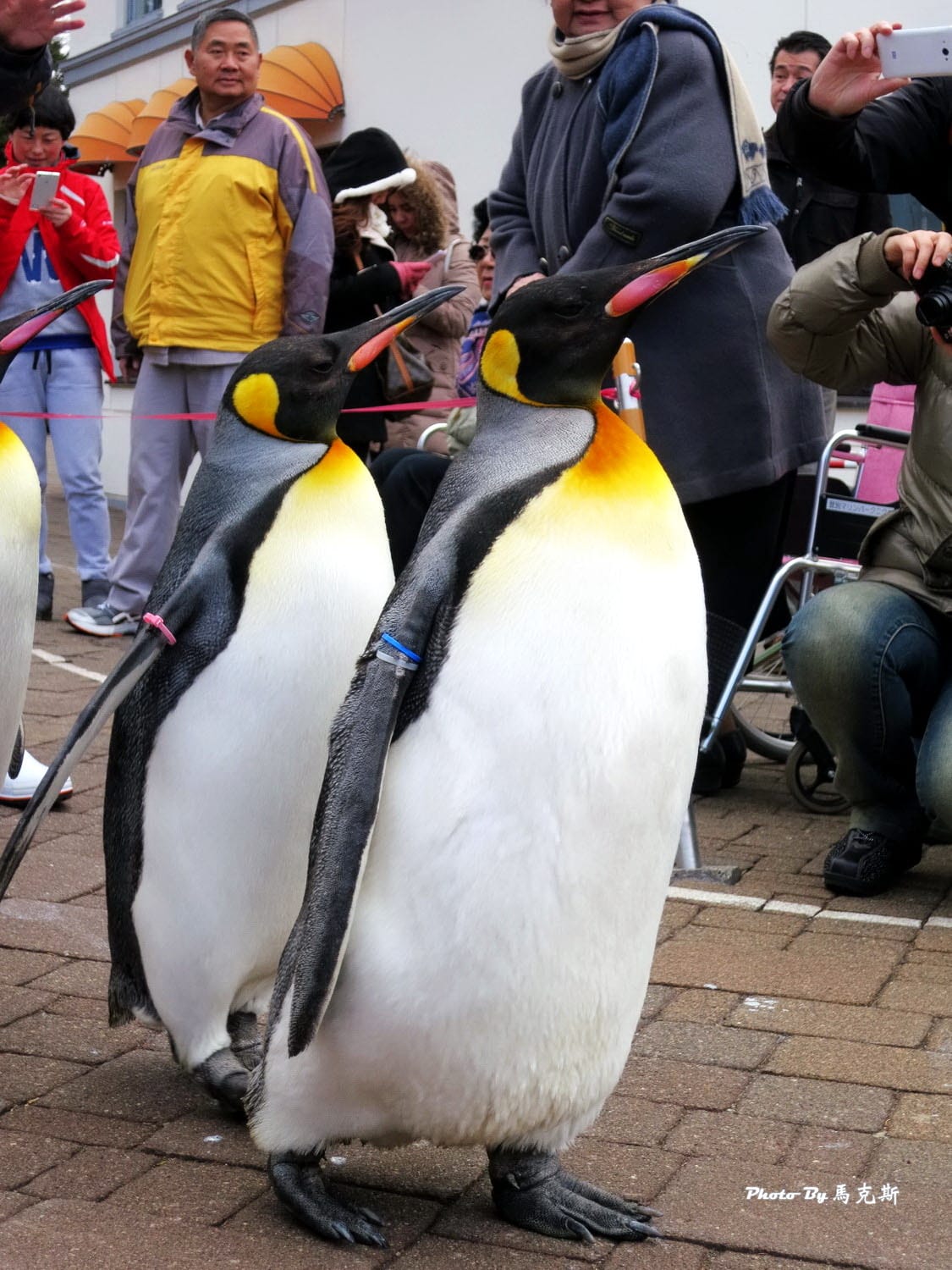 IMG_1046_調整大小 IMG_1046_調整大小