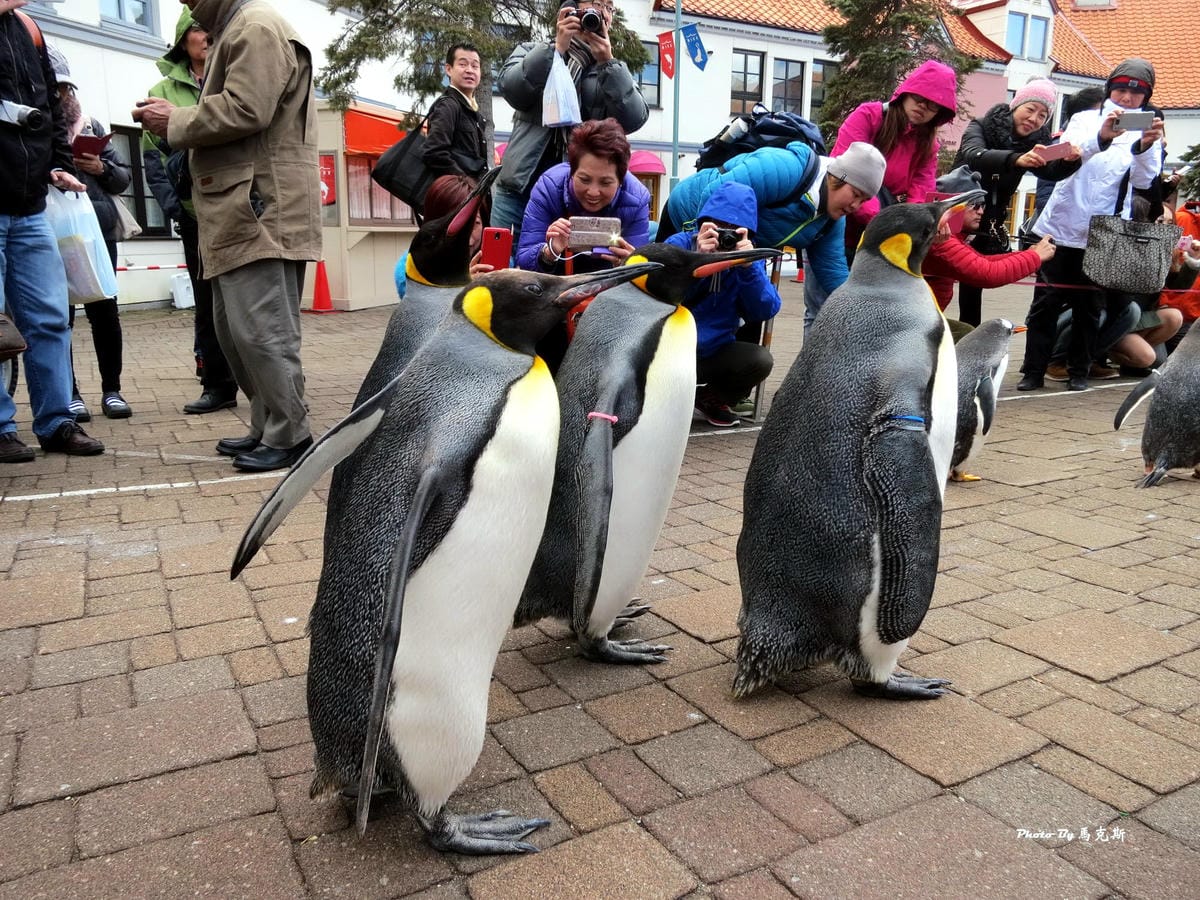 IMG_1045_調整大小 IMG_1045_調整大小