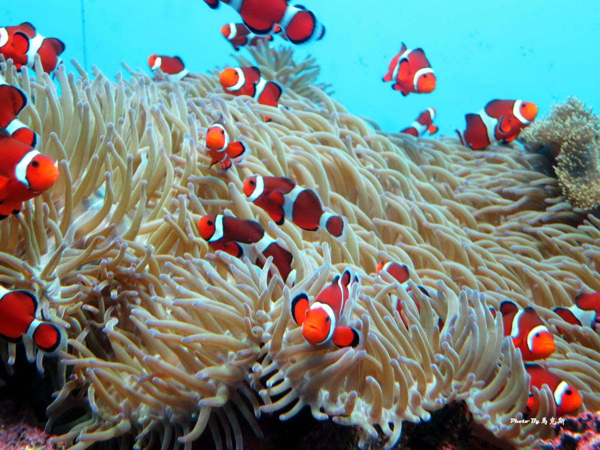 IMG_1025_調整大小 (2) IMG_1025_調整大小 (2)