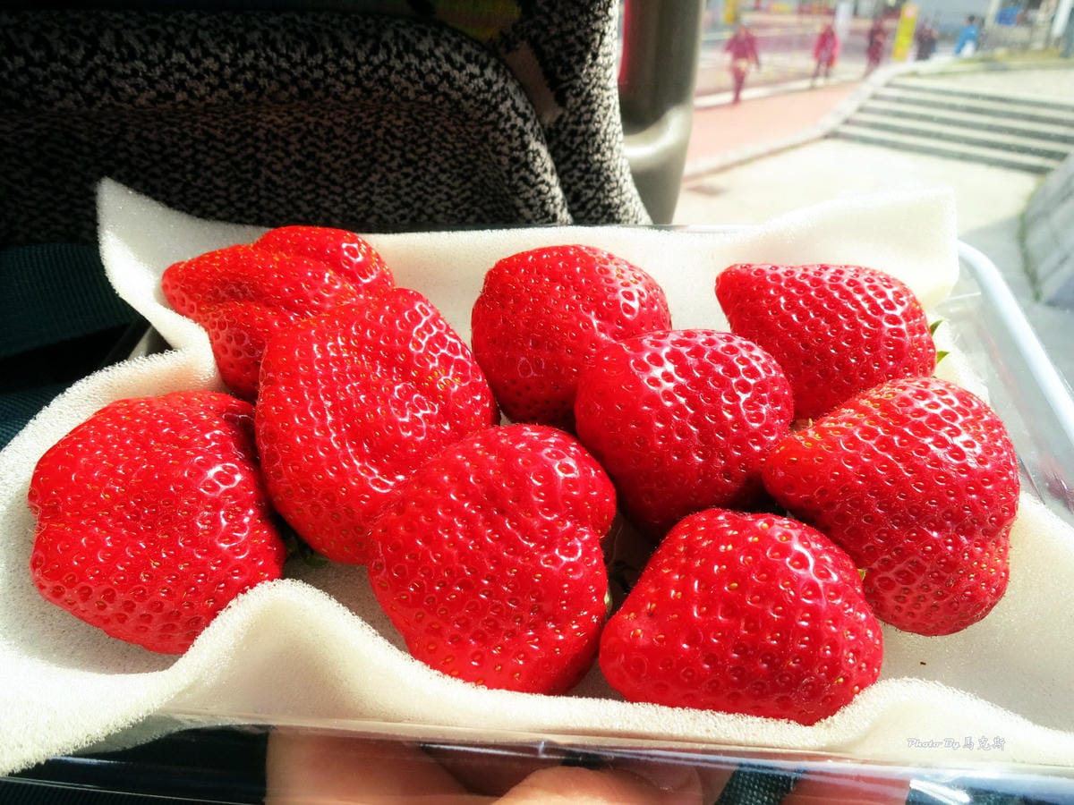 IMG_0959_調整大小 (2) IMG_0959_調整大小 (2)