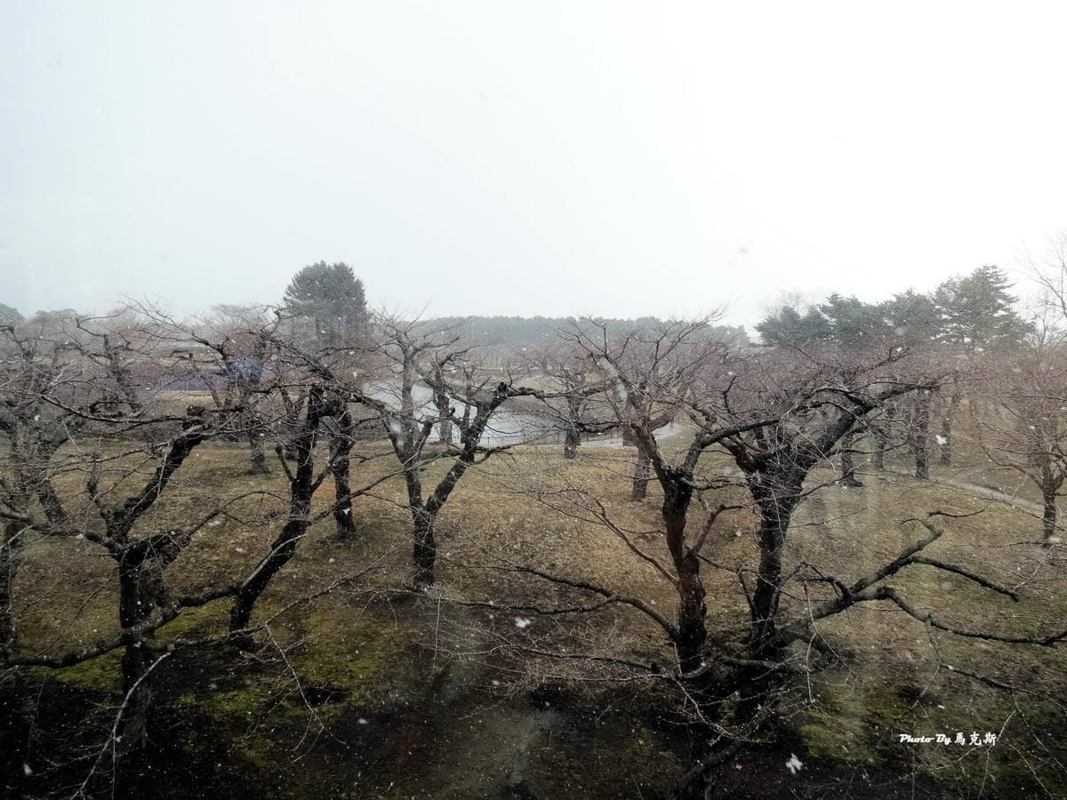 IMG_0910_調整大小 (2) IMG_0910_調整大小 (2)