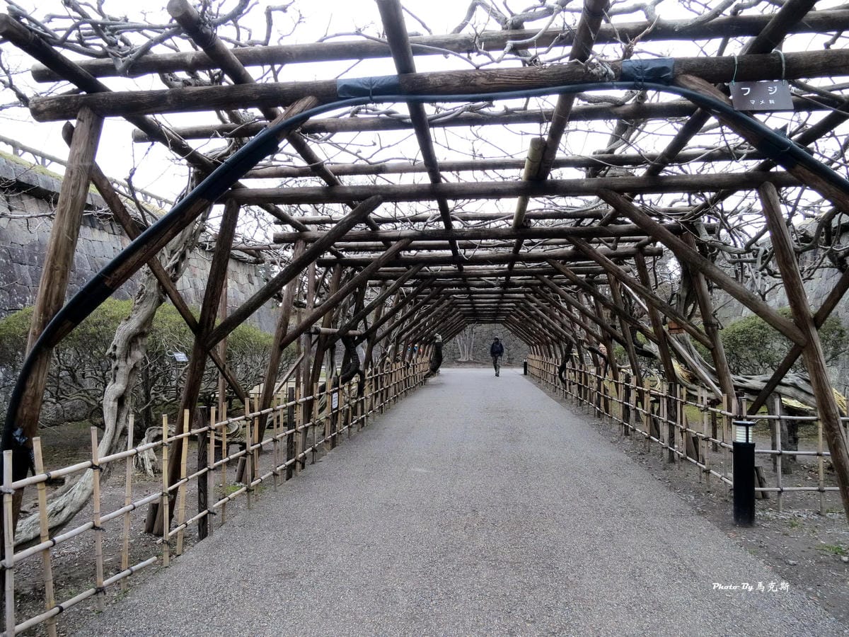 IMG_0843_調整大小 IMG_0843_調整大小