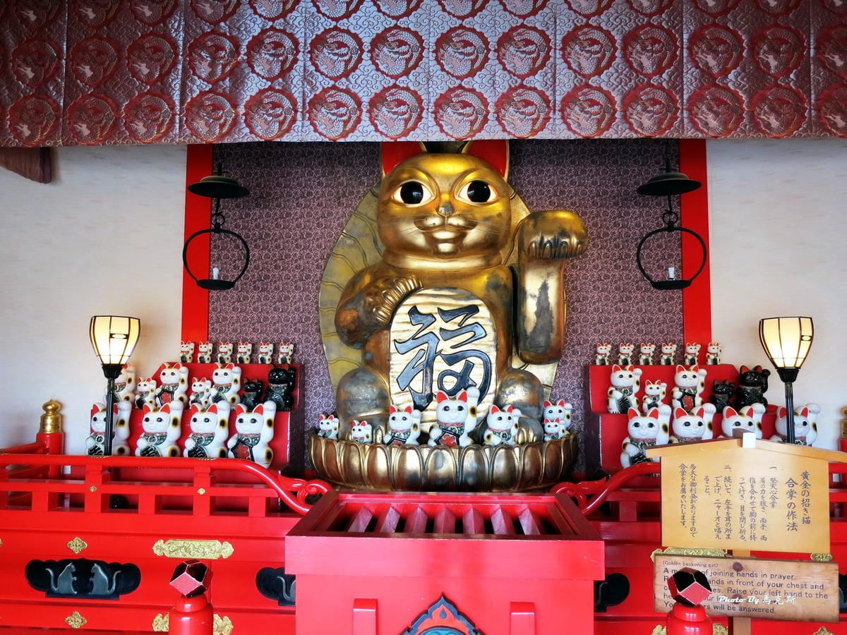 IMG_1220_調整大小 IMG_1220_調整大小