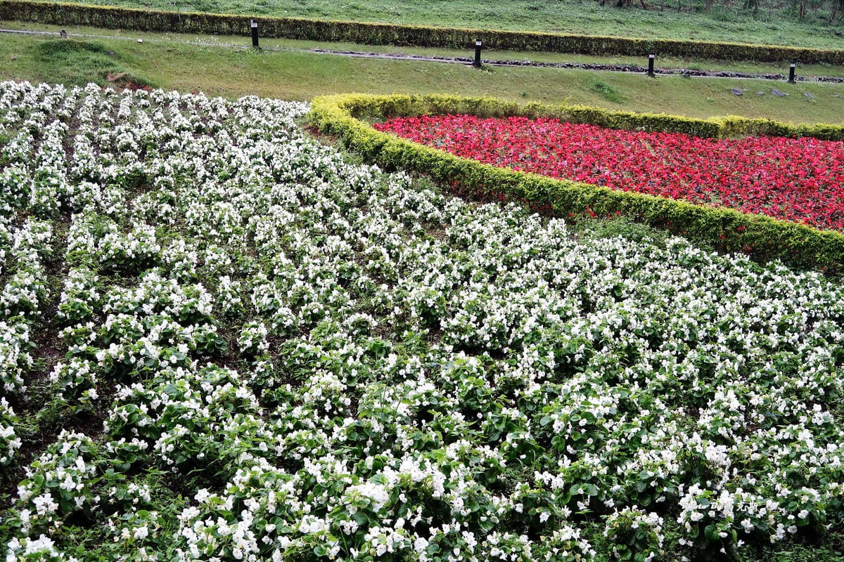 IMG_4397_調整大小 IMG_4397_調整大小