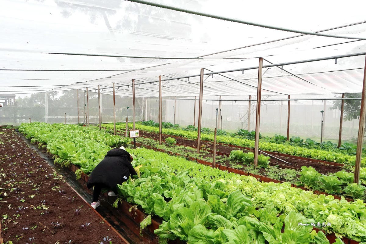 IMG_4450_調整大小 IMG_4450_調整大小