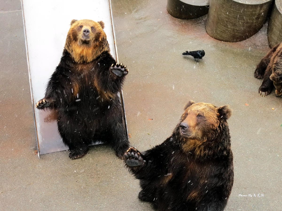 IMG_1340_調整大小 IMG_1340_調整大小