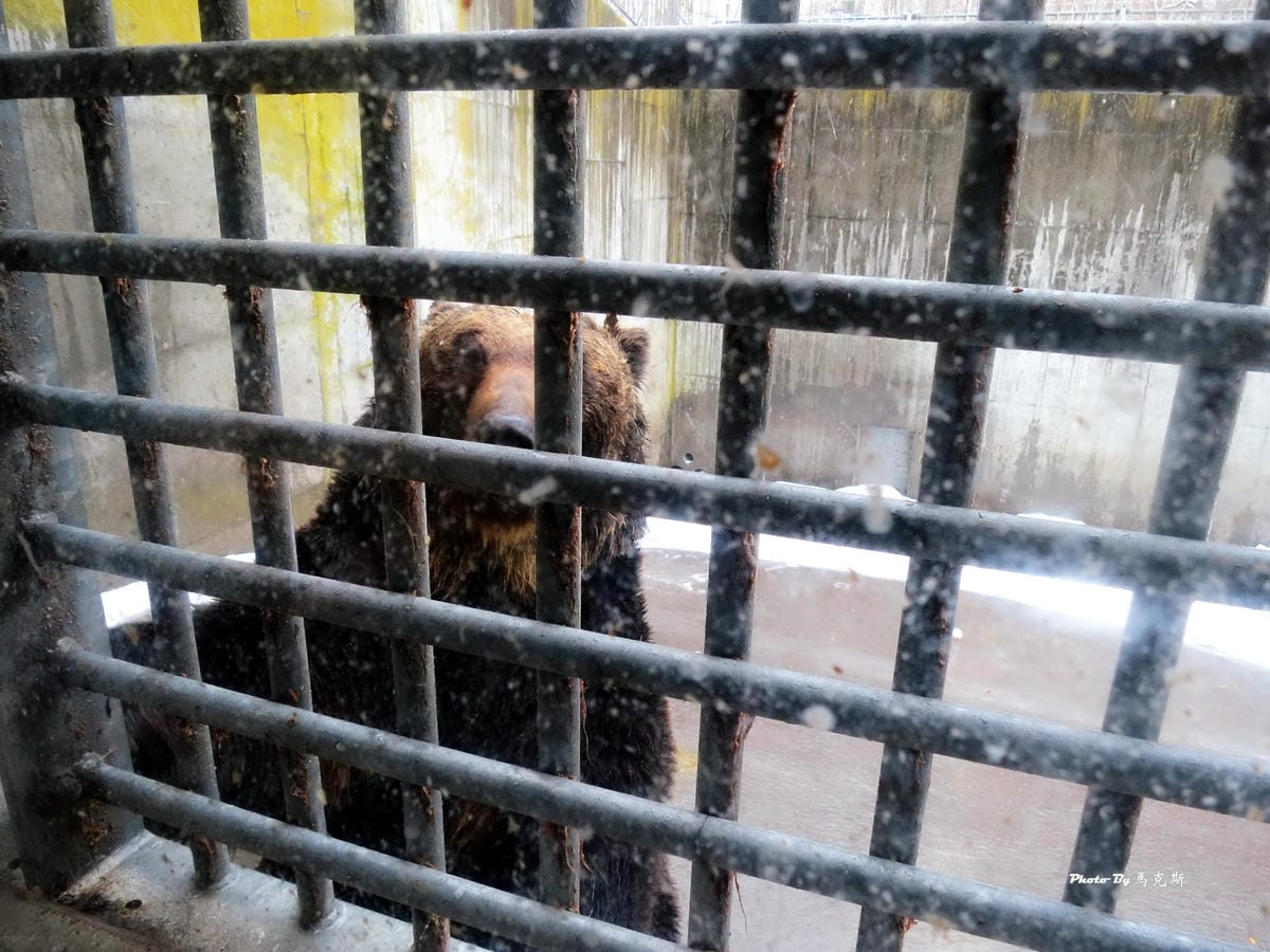 IMG_1350_調整大小 (3) IMG_1350_調整大小 (3)