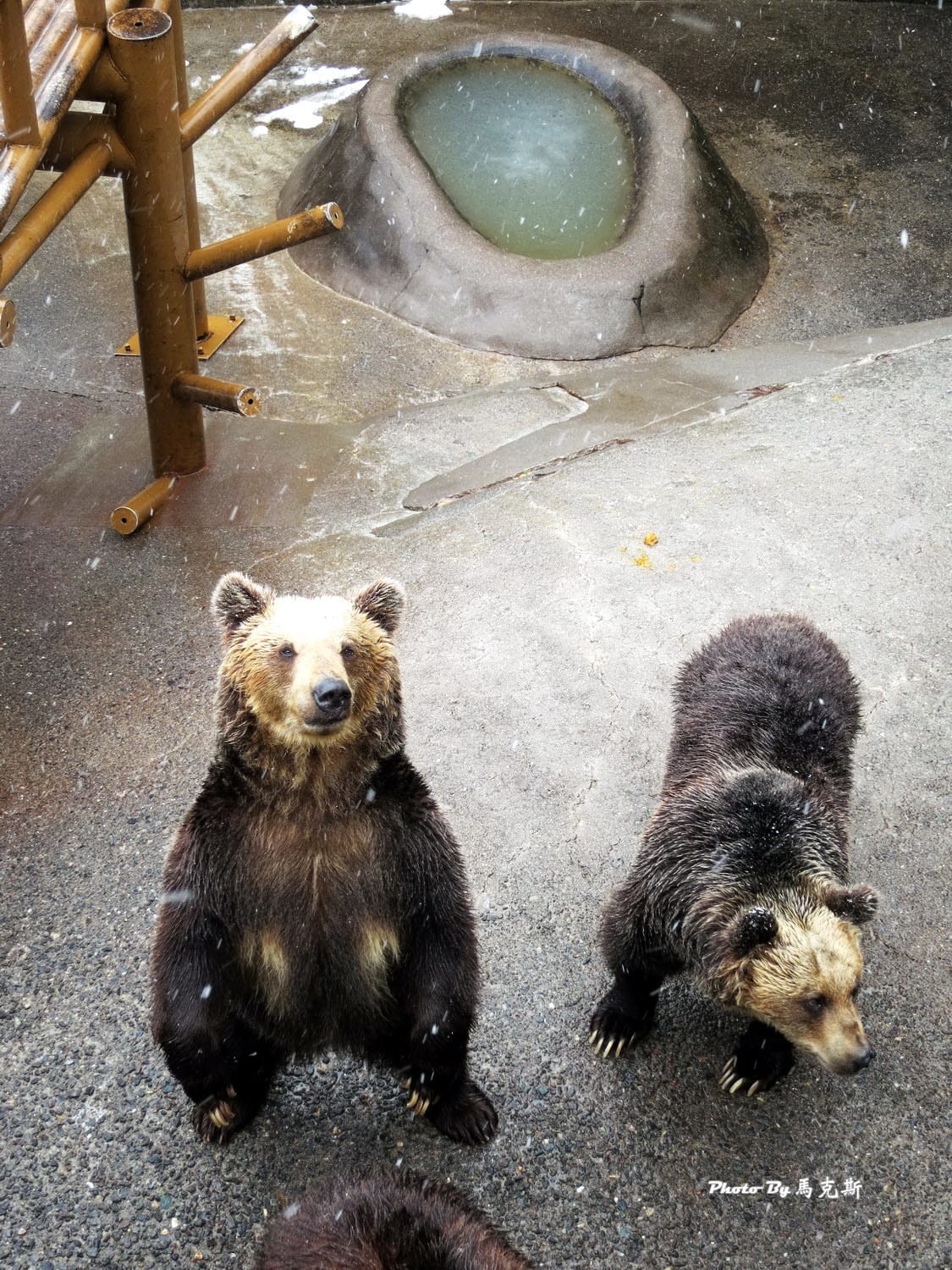 IMG_1335_調整大小 (2) IMG_1335_調整大小 (2)