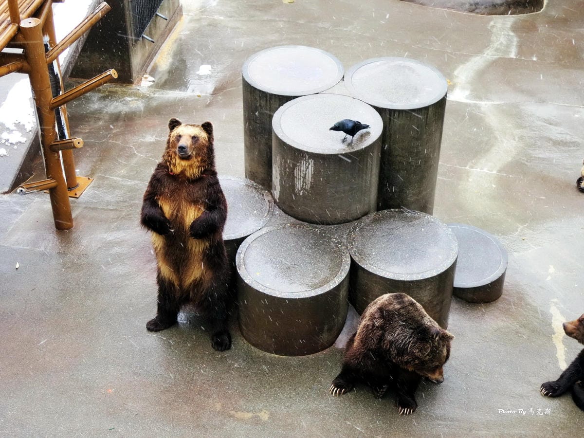 IMG_1330_調整大小 IMG_1330_調整大小