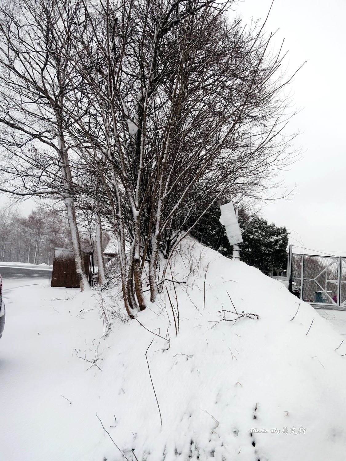 IMG_1375_調整大小 IMG_1375_調整大小