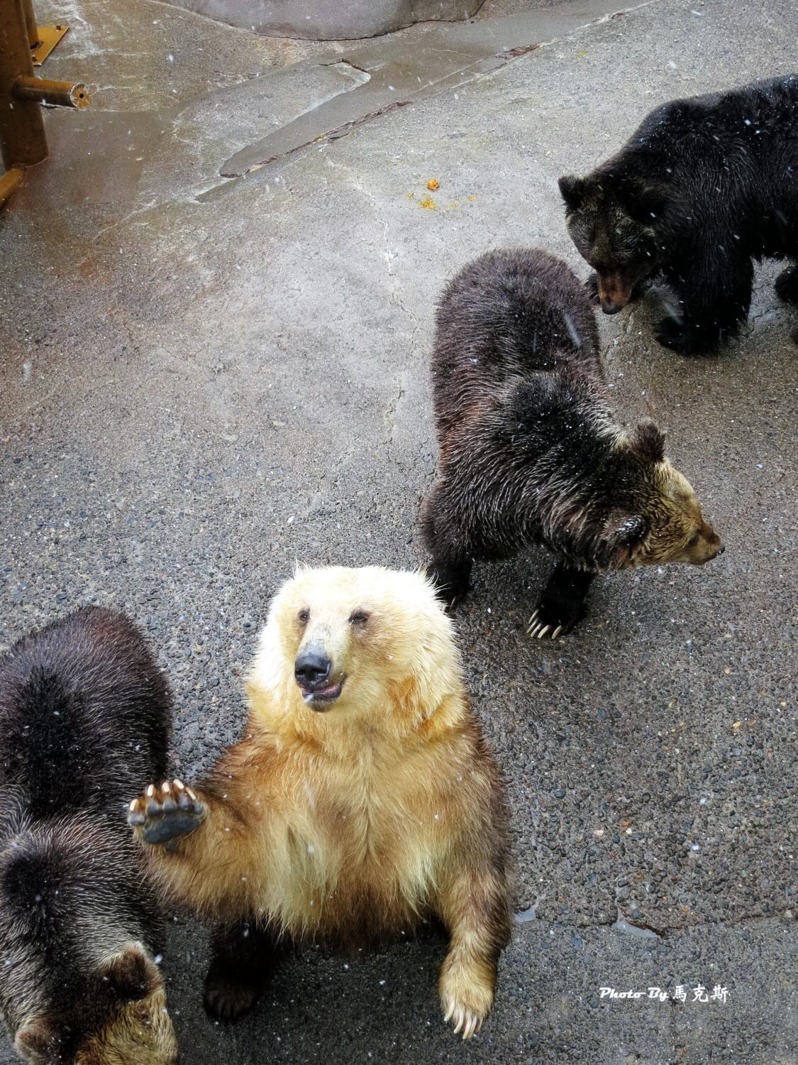 IMG_1335_調整大小 IMG_1335_調整大小