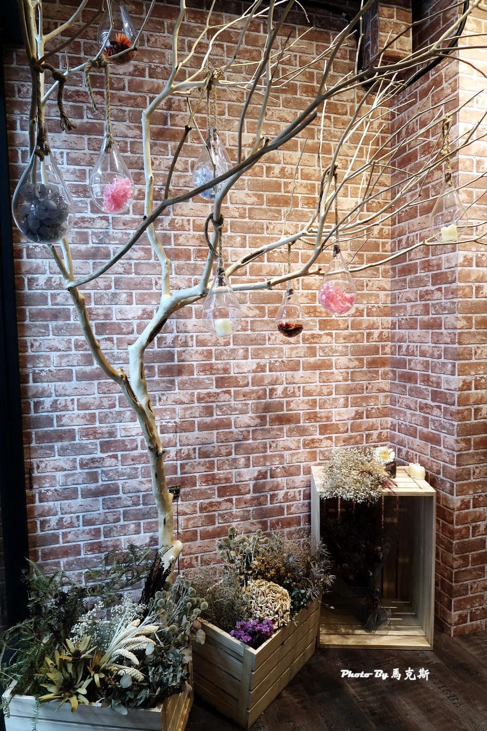 IMG_8113_調整大小 (2) IMG_8113_調整大小 (2)