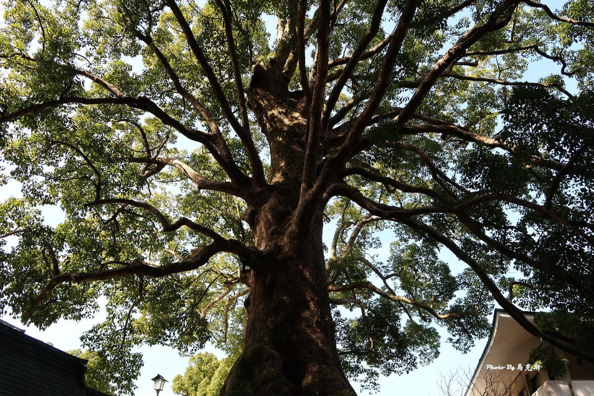 IMG_8417_調整大小 IMG_8417_調整大小