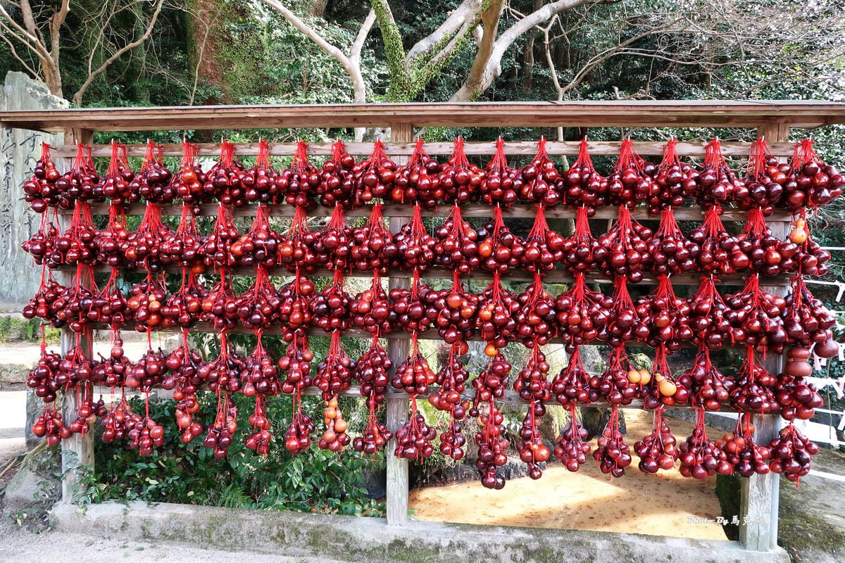 IMG_8413_調整大小 IMG_8413_調整大小