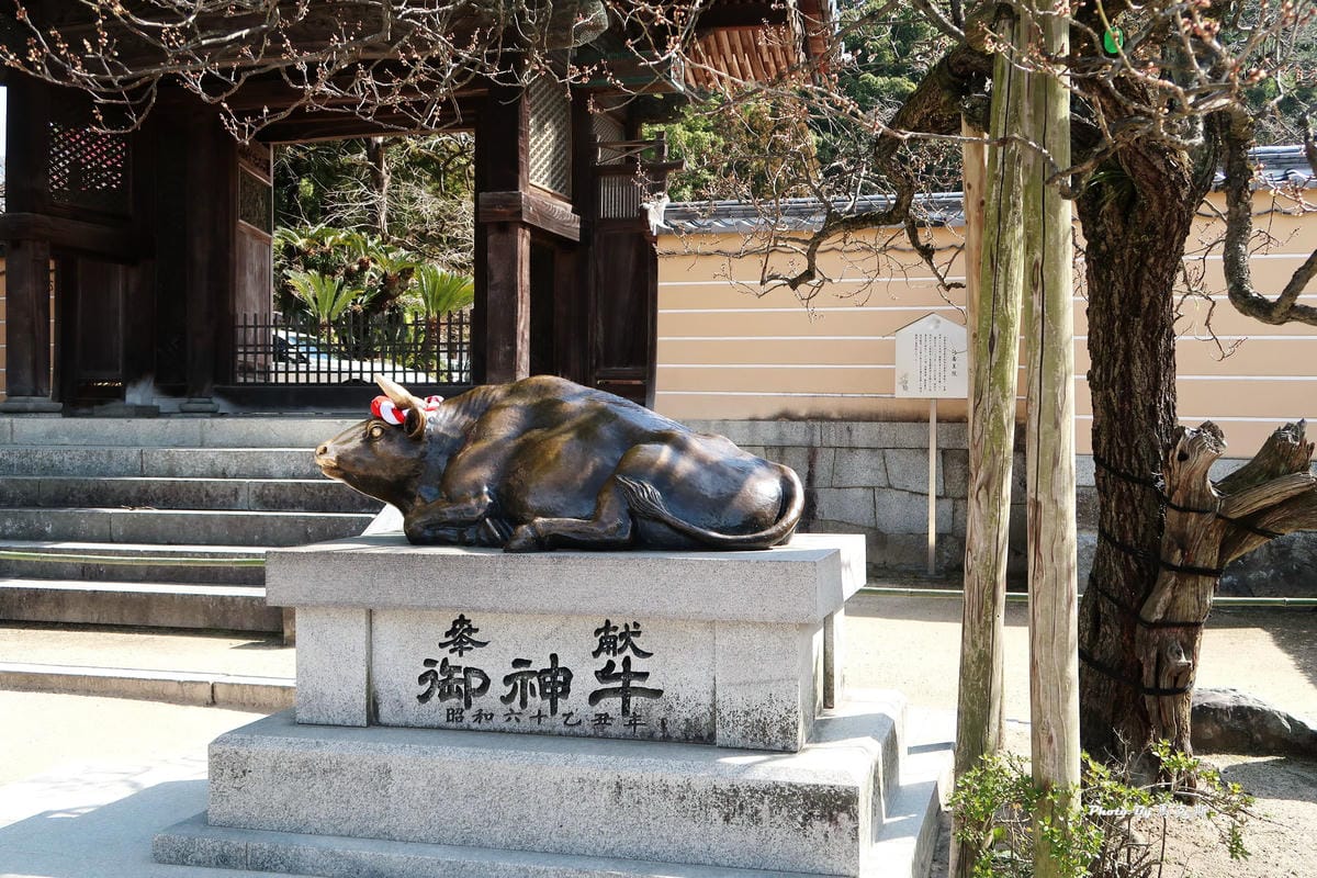 IMG_8350_調整大小 IMG_8350_調整大小