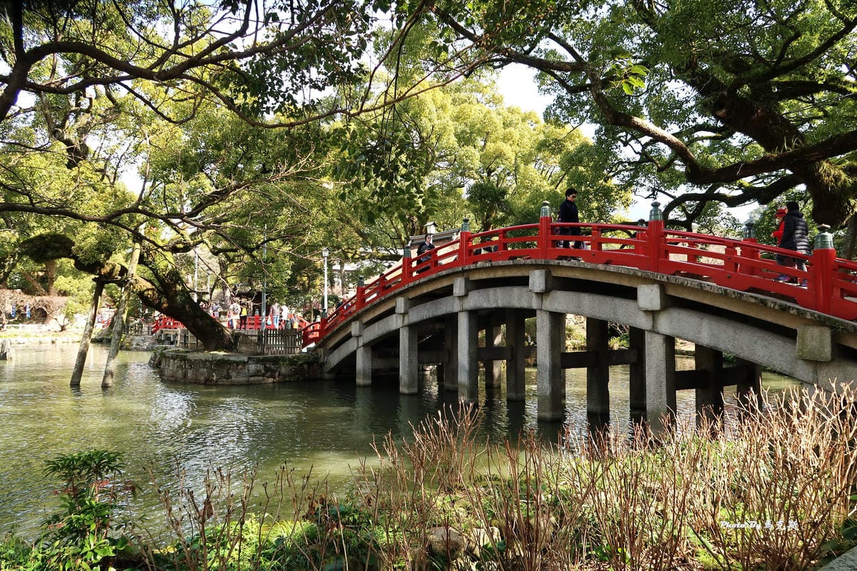 IMG_8355_調整大小 IMG_8355_調整大小