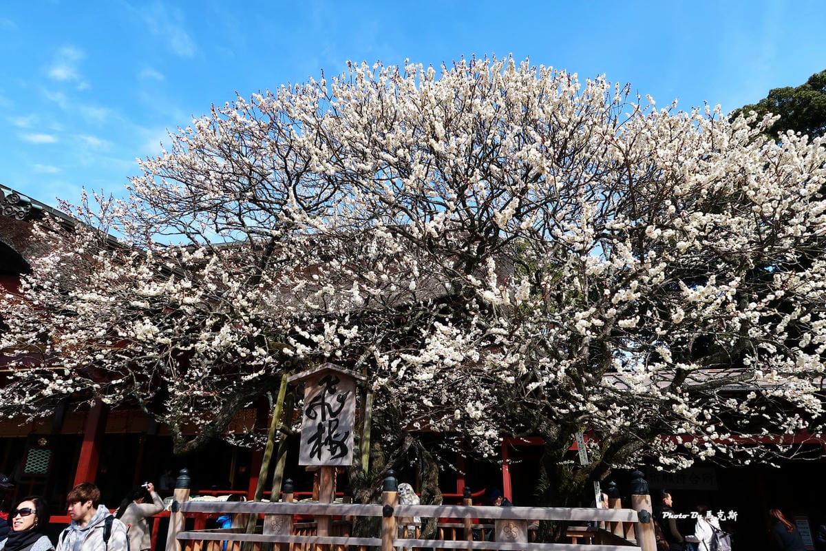 IMG_8405_調整大小 IMG_8405_調整大小