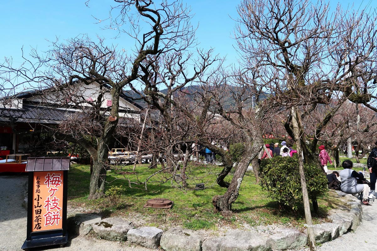 IMG_8423_調整大小 IMG_8423_調整大小