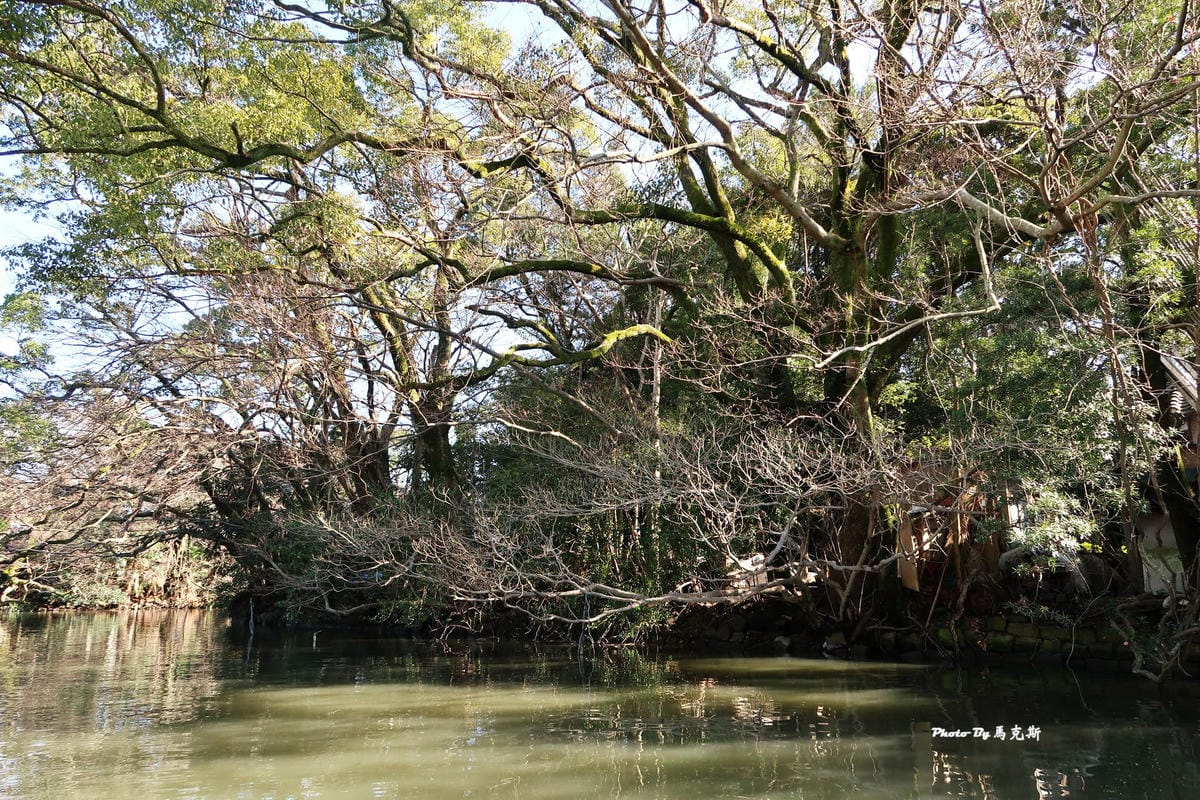 IMG_9543_調整大小 IMG_9543_調整大小