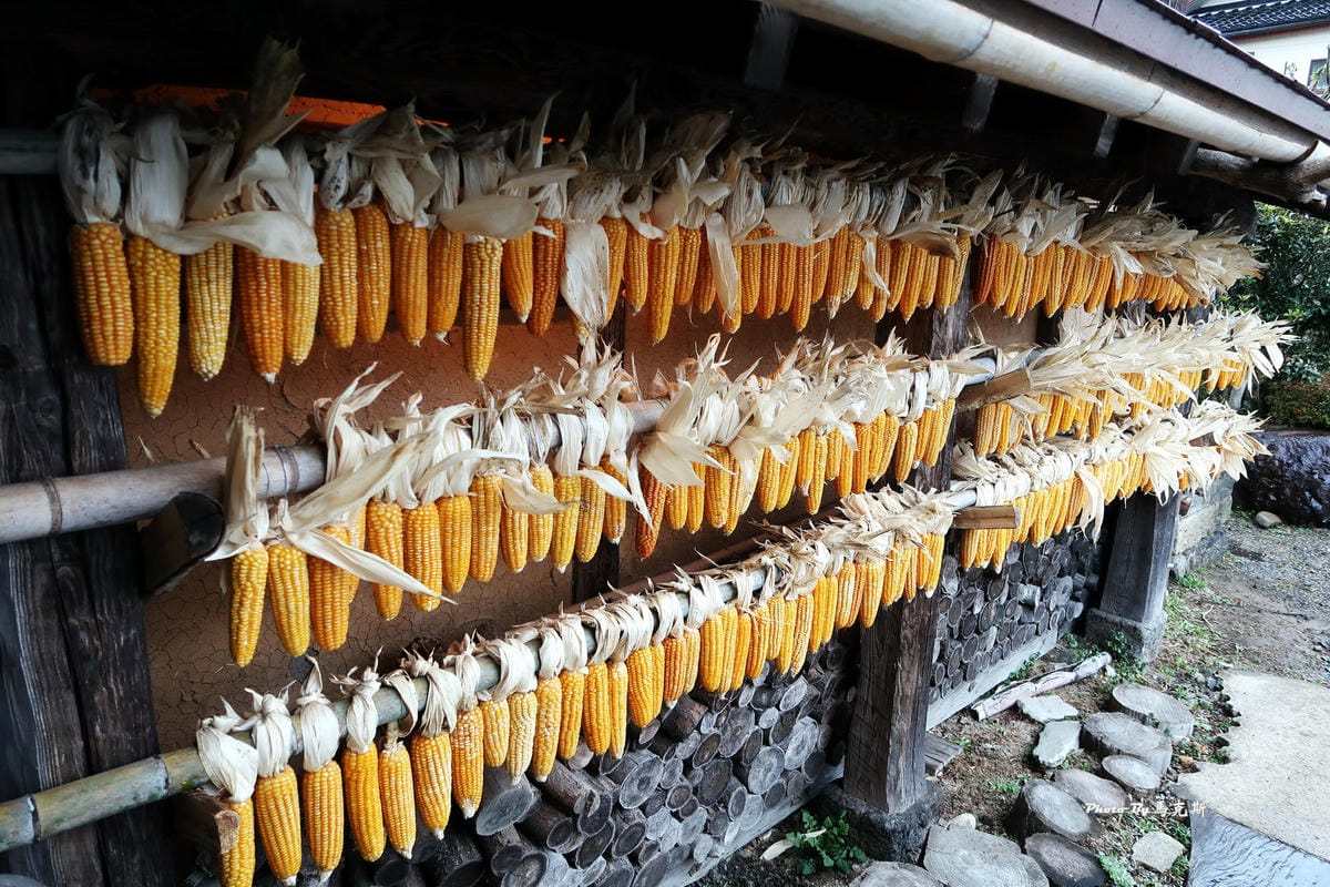 IMG_9317_調整大小 IMG_9317_調整大小