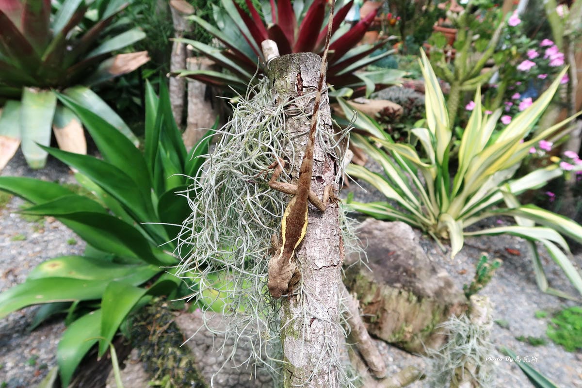 IMG_3563_調整大小 IMG_3563_調整大小