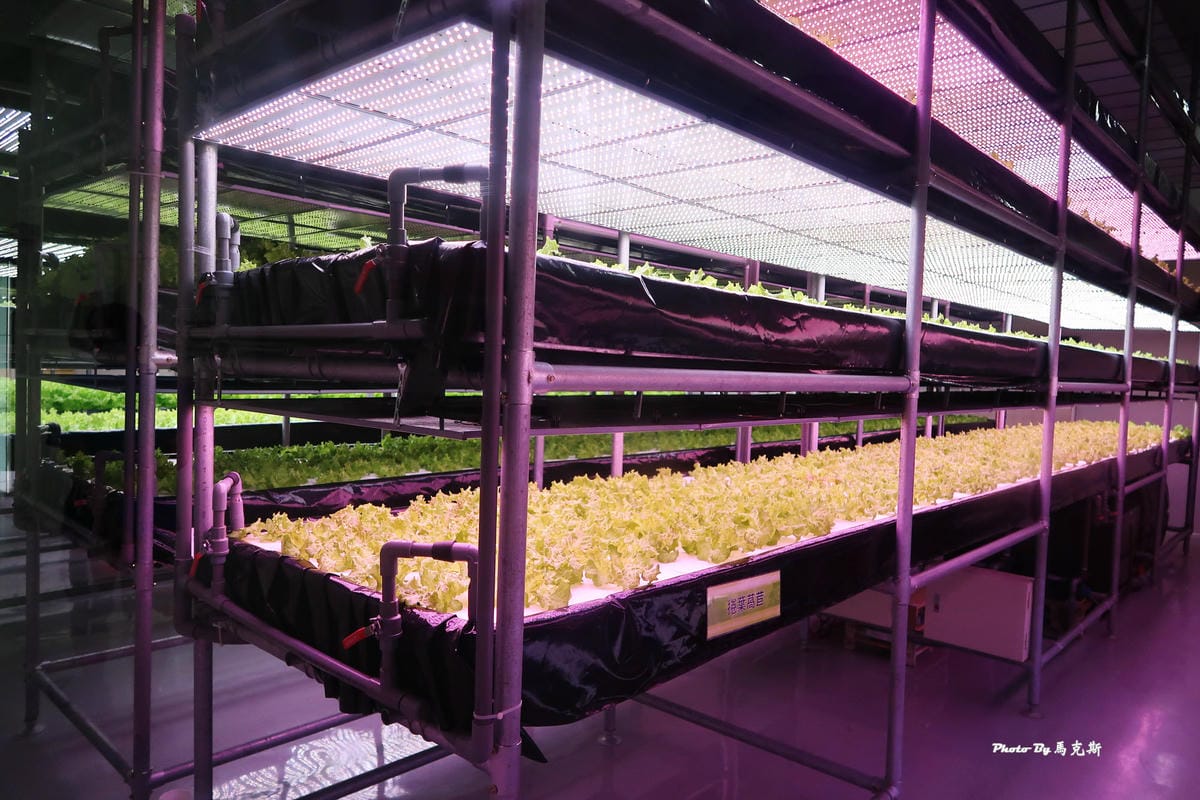 IMG_3575_調整大小 IMG_3575_調整大小