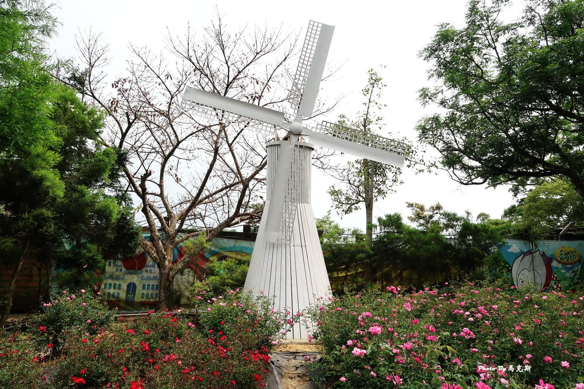 IMG_3597_調整大小 IMG_3597_調整大小