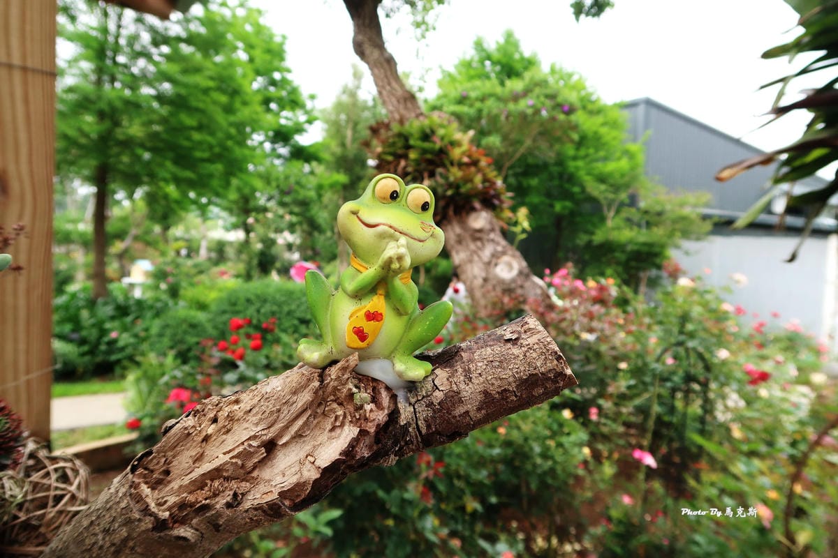 IMG_3570_調整大小 IMG_3570_調整大小