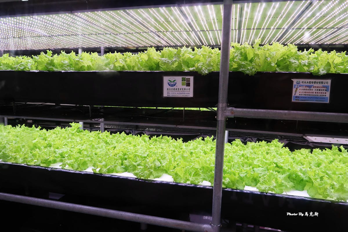 IMG_3580_調整大小 IMG_3580_調整大小