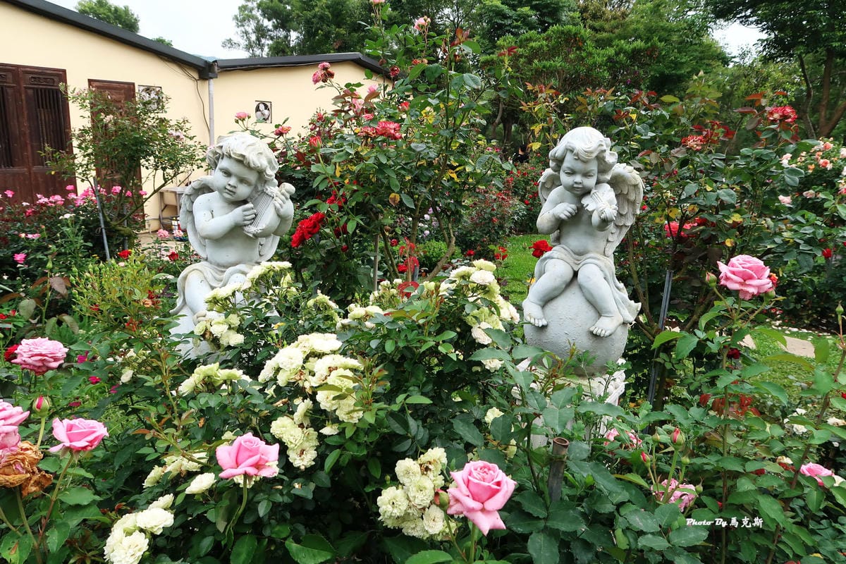 IMG_3550_調整大小 IMG_3550_調整大小