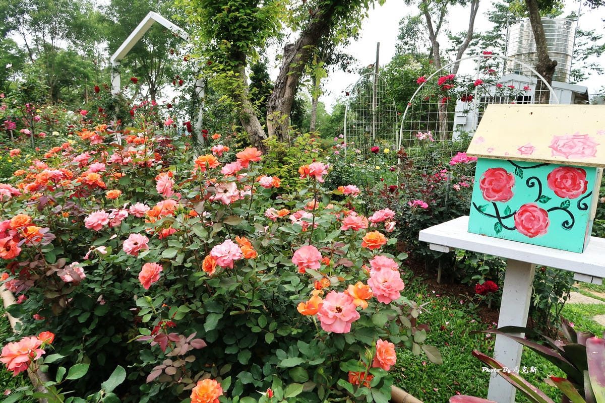 IMG_3553_調整大小 IMG_3553_調整大小