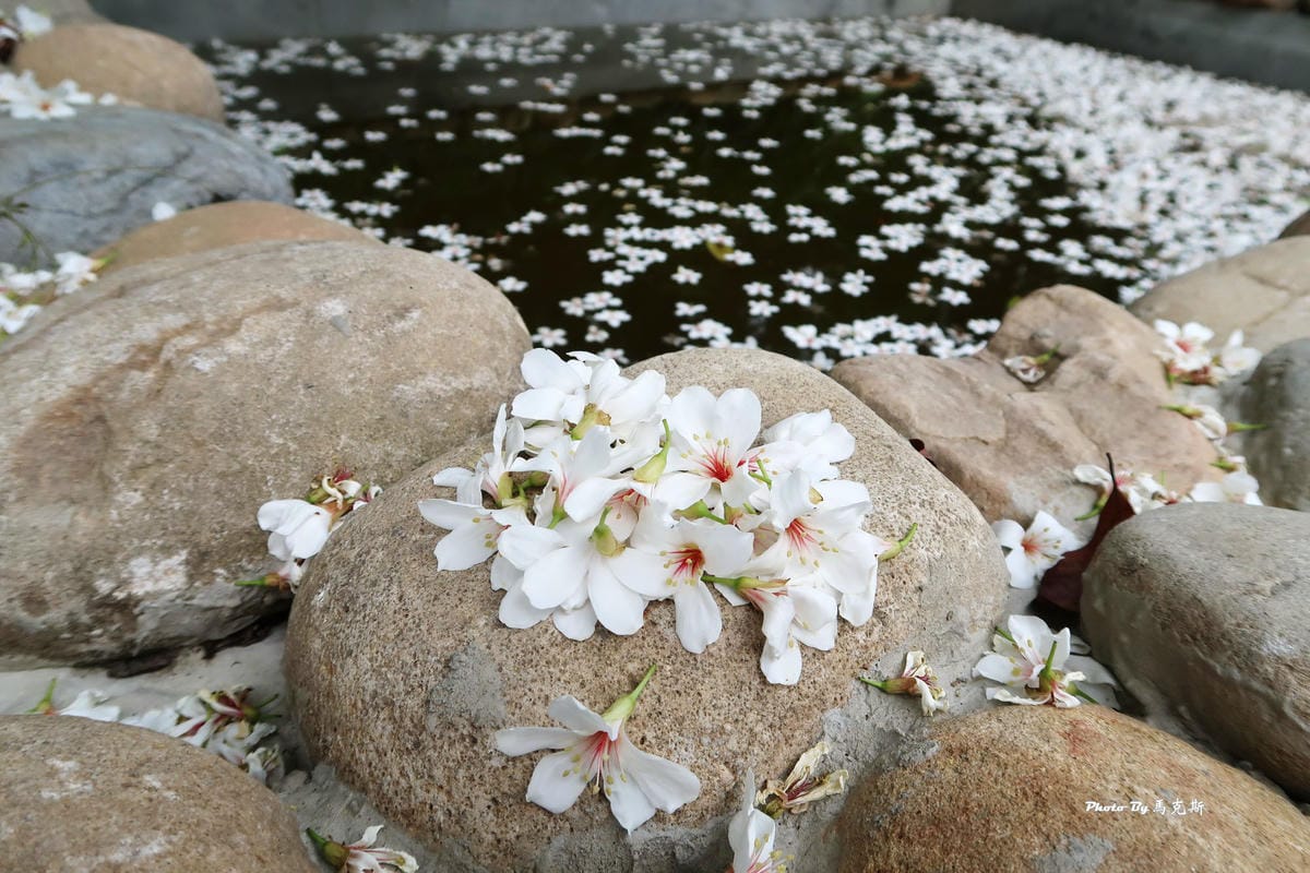 IMG_3593_調整大小 (2) IMG_3593_調整大小 (2)