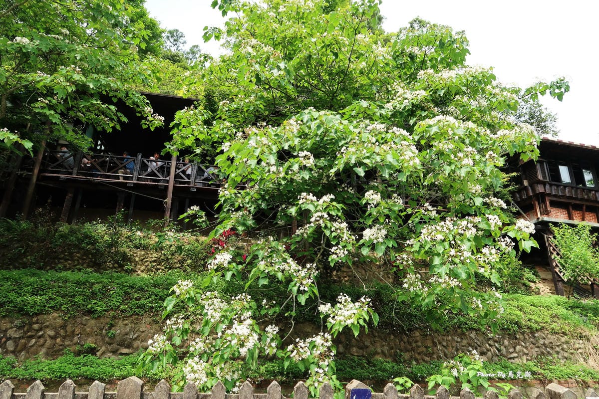 IMG_3573_調整大小 IMG_3573_調整大小