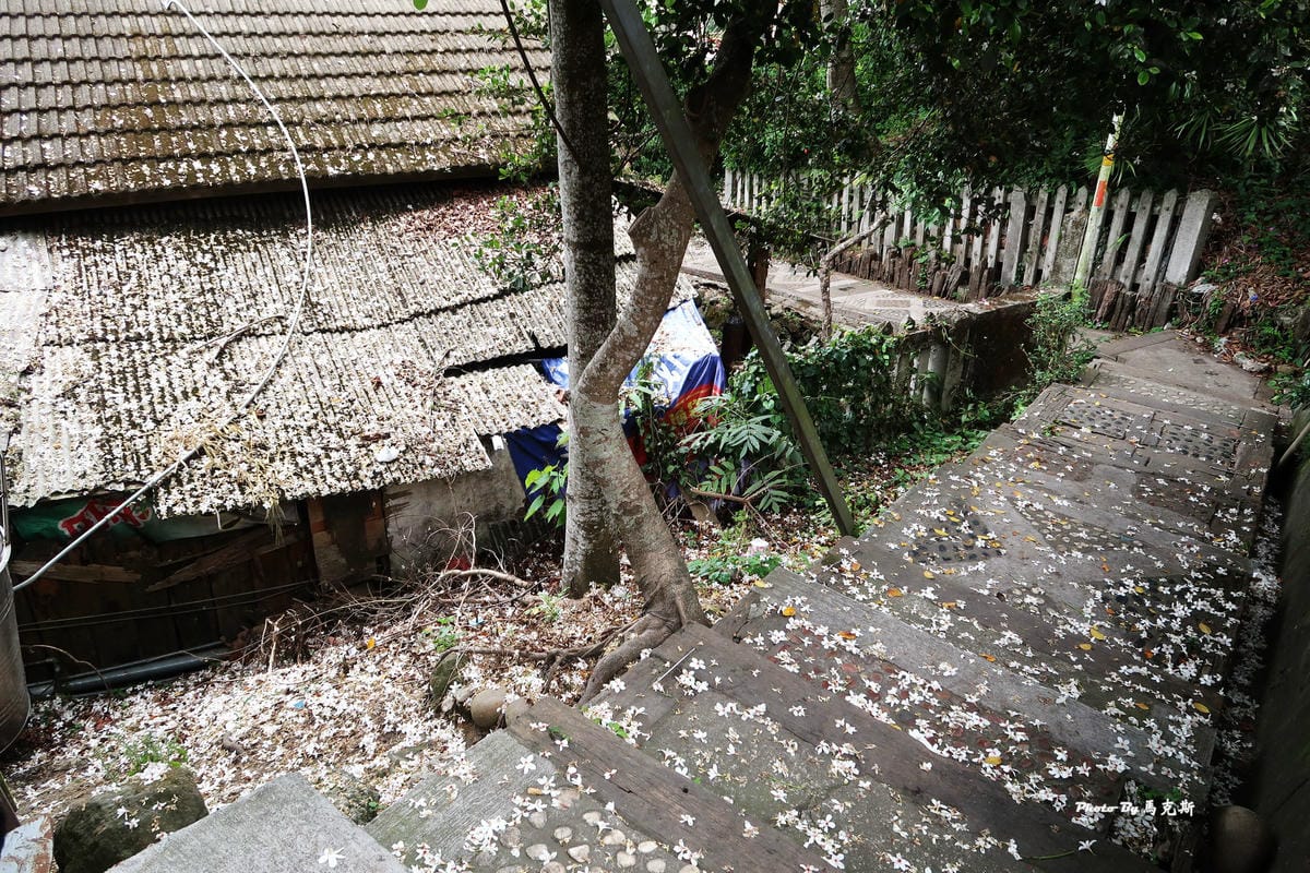 IMG_3515_調整大小 IMG_3515_調整大小