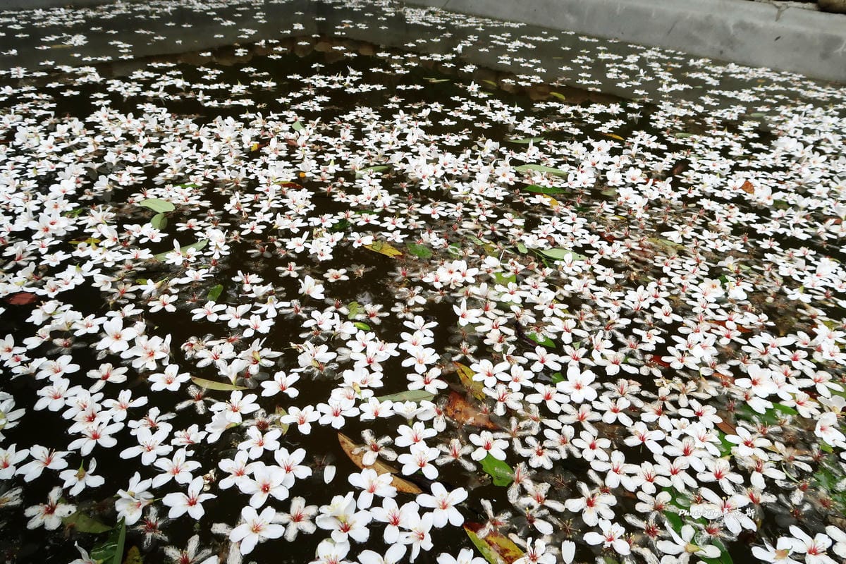 IMG_3585_調整大小 IMG_3585_調整大小