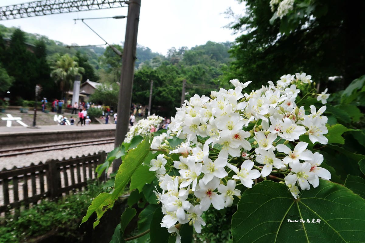 IMG_3580_調整大小 IMG_3580_調整大小