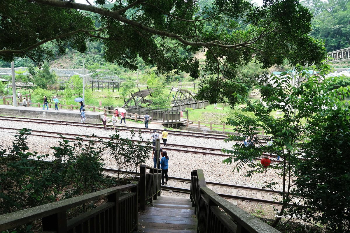 IMG_3605_調整大小 IMG_3605_調整大小