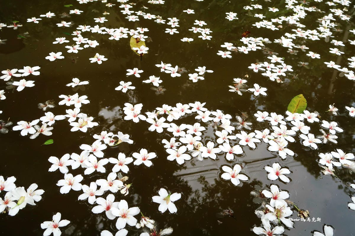 IMG_3590_調整大小 (2) IMG_3590_調整大小 (2)