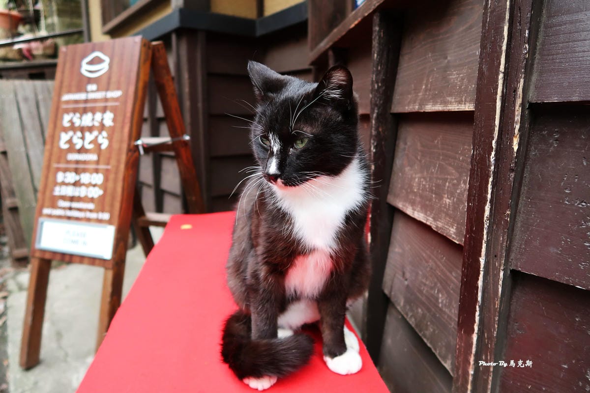 IMG_9531_調整大小 IMG_9531_調整大小