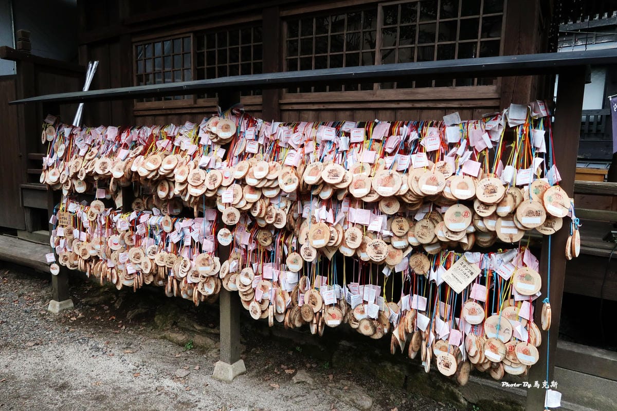 IMG_9555_調整大小 IMG_9555_調整大小