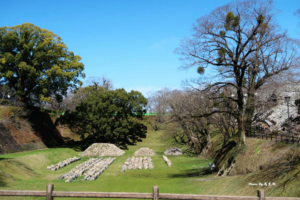 IMG_9570_調整大小 IMG_9570_調整大小